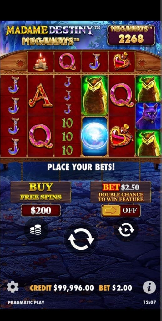 SpinBet Experience