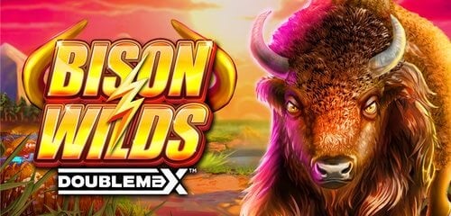 https://bison-casino.eu/